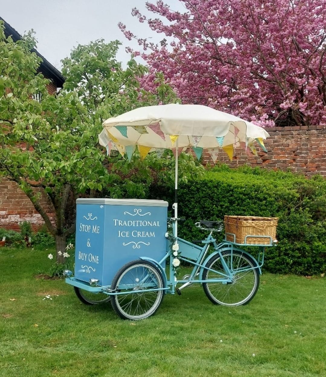 Blue Pashley trike